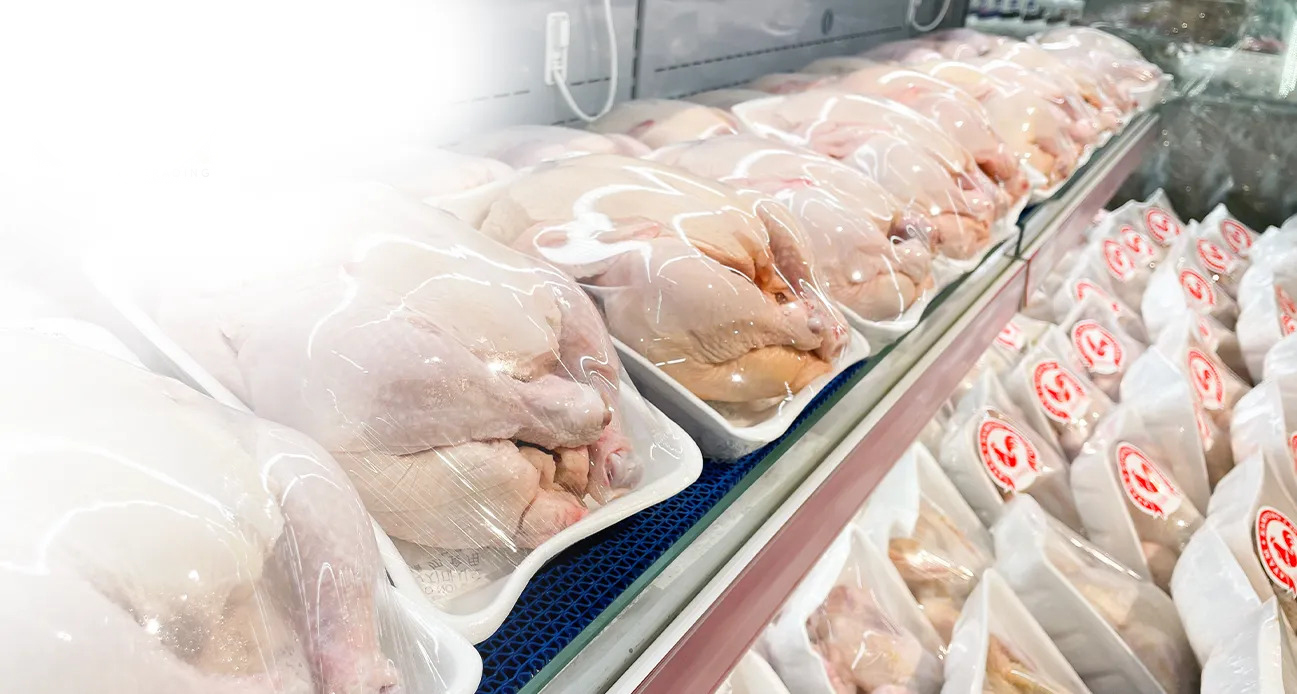 chicken banner