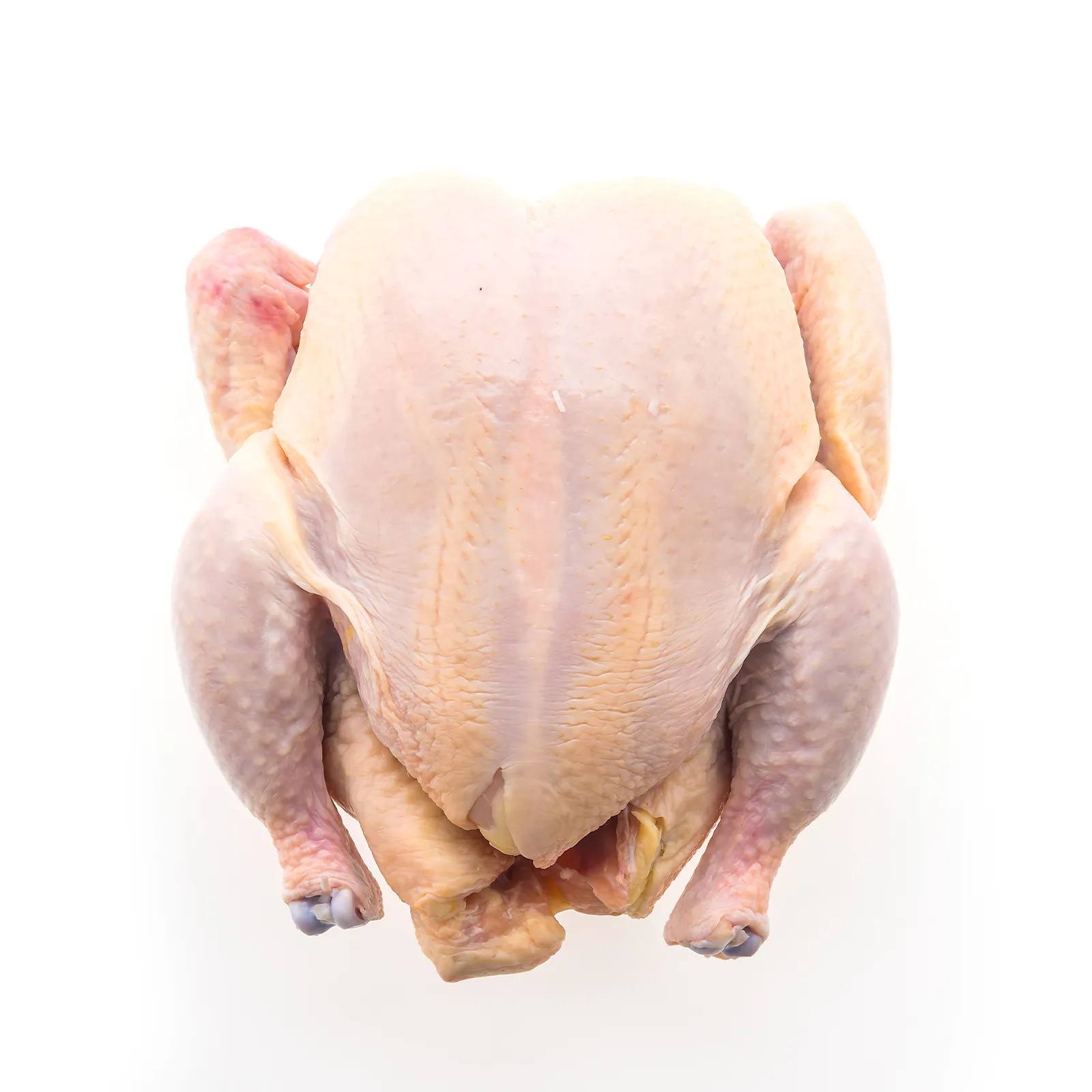 دجاج كامل